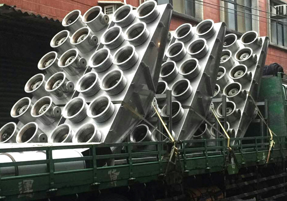Exhaust gas purifier